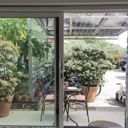 Appartement La Casa Negli Ulivi à Chiavari Extérieur photo